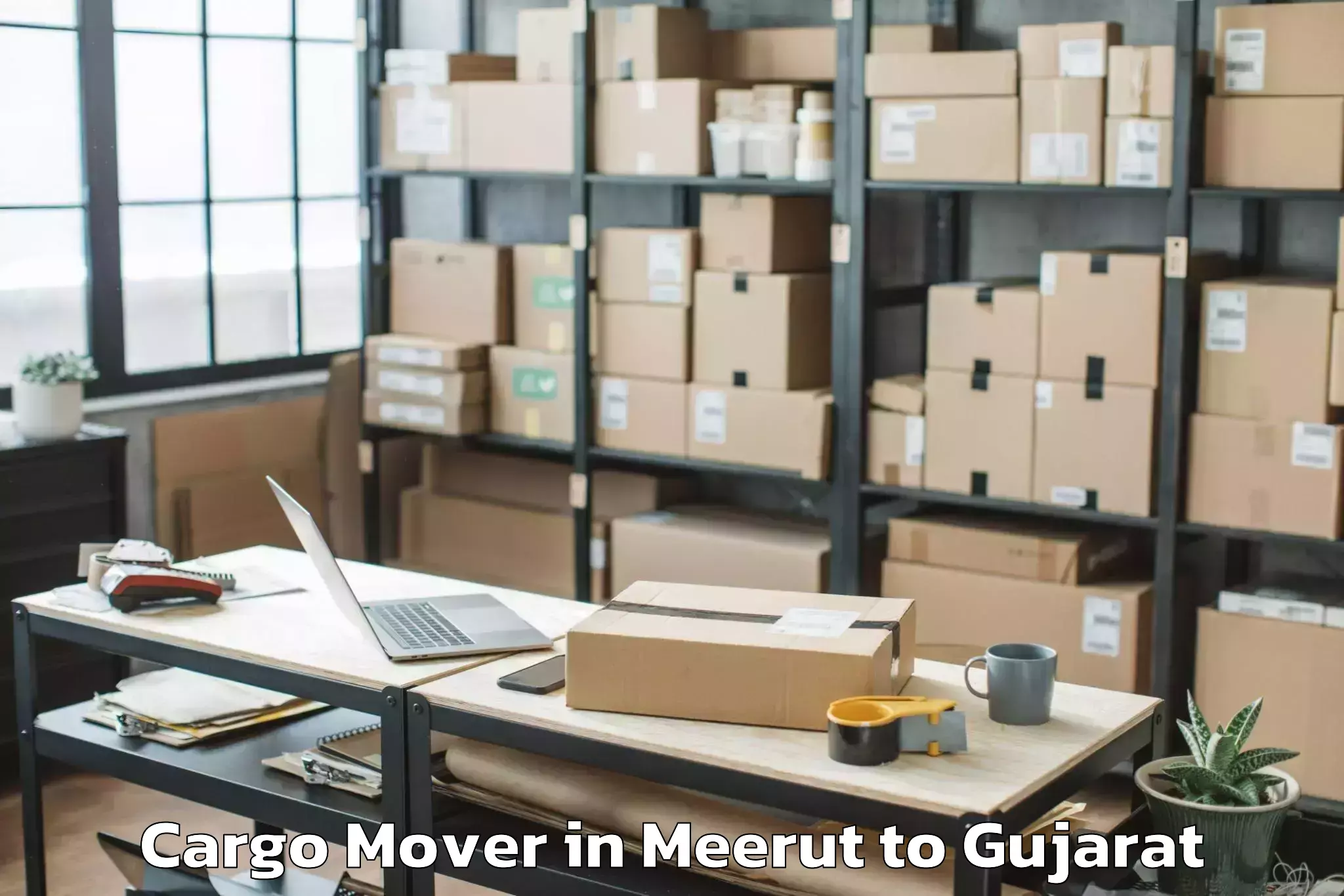 Book Meerut to Malpur Cargo Mover Online